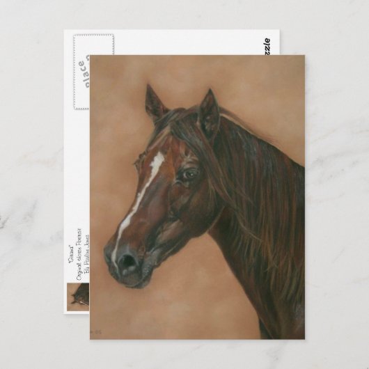 afbeelding van kastanjebruin briefkaart (Voorkant / Achterkant)