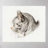 afbeelding van katten poster (Voorkant)