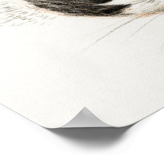  afbeelding van katten poster (Hoek)