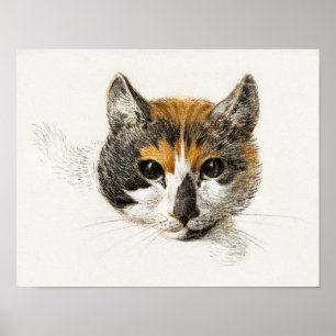  afbeelding van katten poster