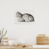  afbeelding van katten poster (Keuken)