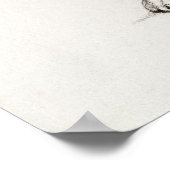  afbeelding van katten poster (Hoek)