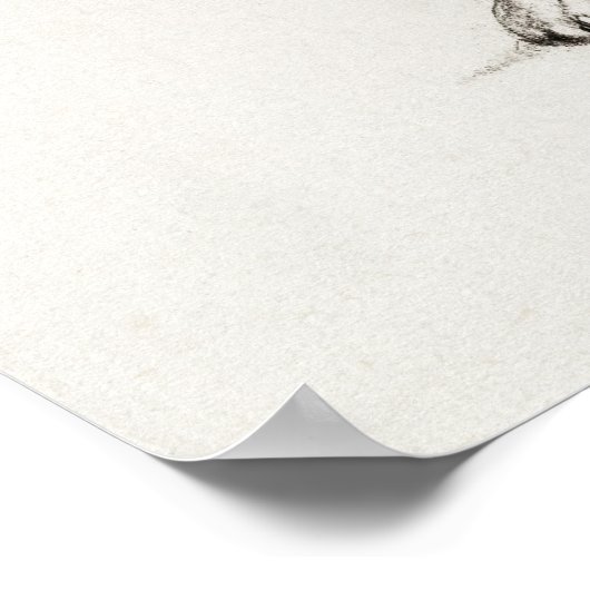  afbeelding van katten poster (Hoek)