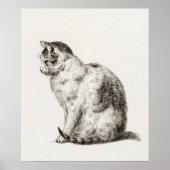 afbeelding van katten poster (Voorkant)