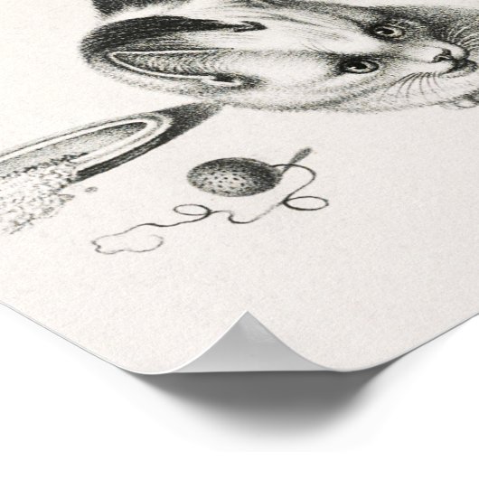  afbeelding van katten poster (Hoek)