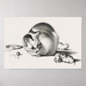  afbeelding van katten poster (Voorkant)