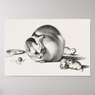 afbeelding van katten poster