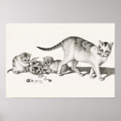  afbeelding van katten poster (Voorkant)