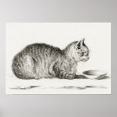  afbeelding van katten poster (Voorkant)