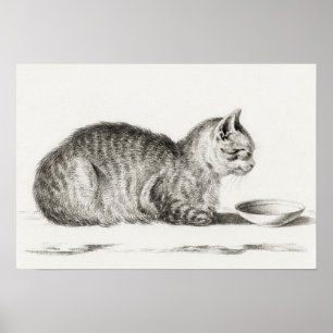  afbeelding van katten poster