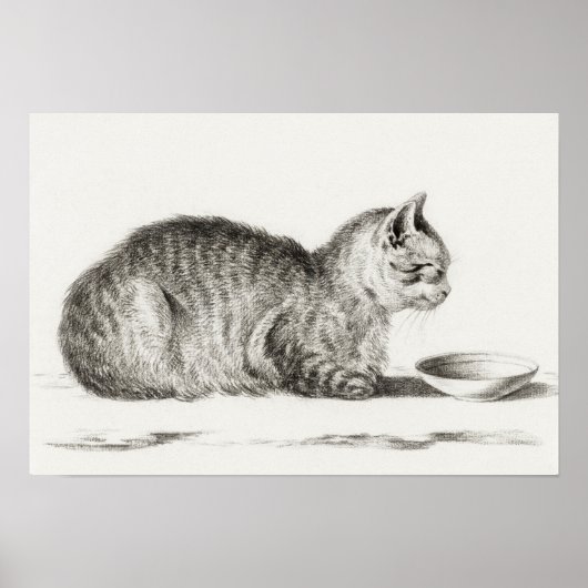  afbeelding van katten poster (Voorkant)