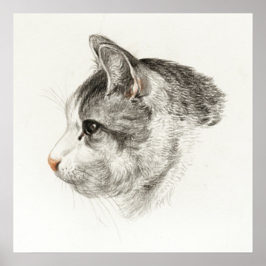  afbeelding van katten poster (Voorkant)