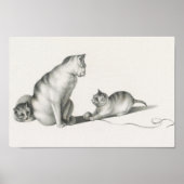  afbeelding van katten poster (Voorkant)