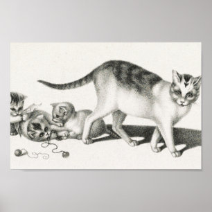  afbeelding van katten poster