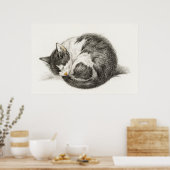  afbeelding van katten poster (Keuken)
