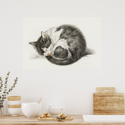 afbeelding van katten poster (Keuken)