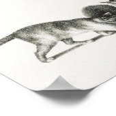  afbeelding van katten poster (Hoek)