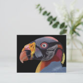 Afbeelding van King Vulture Briefkaart (Staand voorkant)