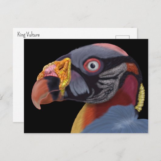 Afbeelding van King Vulture Briefkaart (Voorkant / Achterkant)