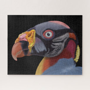 Afbeelding van King Vulture Legpuzzel