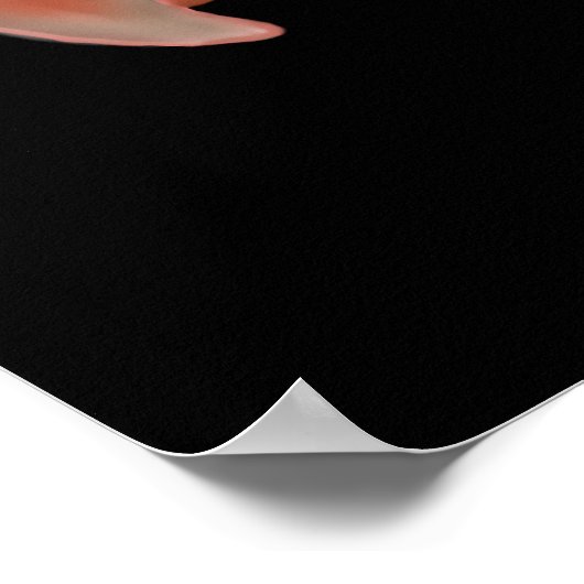 Afbeelding van King Vulture Poster (Hoek)