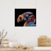 Afbeelding van King Vulture Poster (Keuken)
