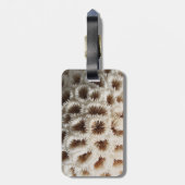 Afbeelding van Koraal. Bagagelabel (Achterkant verticaal)