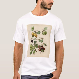 afbeelding van kruisbessen t-shirt