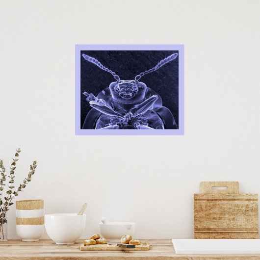 Afbeelding van lebbengel - Scaningelektronenmicros Poster (Keuken)