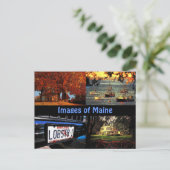 Afbeelding van Maine Briefkaart (Staand voorkant)