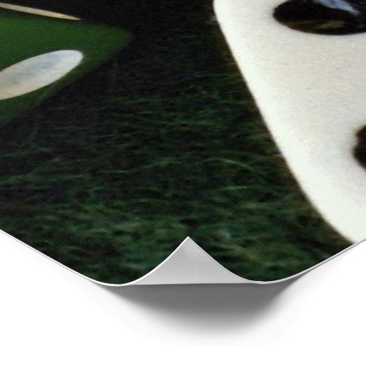 Afbeelding van Multicolored dice Poster (Hoek)