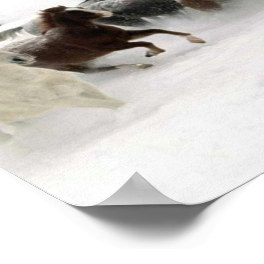 Afbeelding van paarden poster (Hoek)