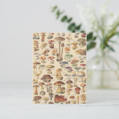  afbeelding van paddenstoelen briefkaart (Staand voorkant)