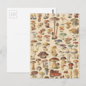  afbeelding van paddenstoelen briefkaart (Voorkant / Achterkant)