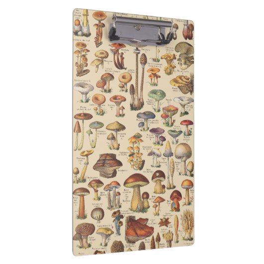  afbeelding van paddenstoelen klembord (Rechts)