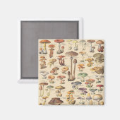 afbeelding van paddenstoelen magneet (Voorkant / Achterkant)