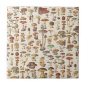  afbeelding van paddenstoelen tegeltje (Voorkant)