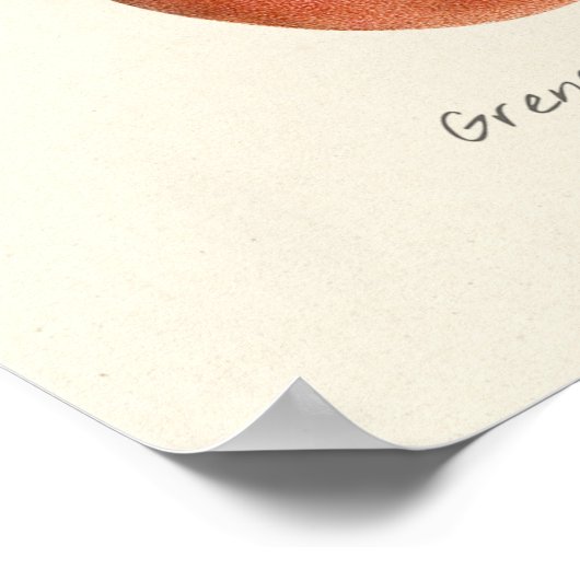  afbeelding van Pomegranaat Poster (Hoek)