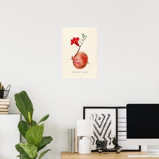  afbeelding van Pomegranaat Poster (Thuiskantoor)