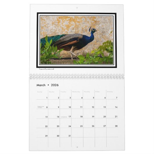 Afbeelding van Portugal Kalender (Mar 2026)