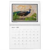 Afbeelding van Portugal Kalender (Mar 2027)