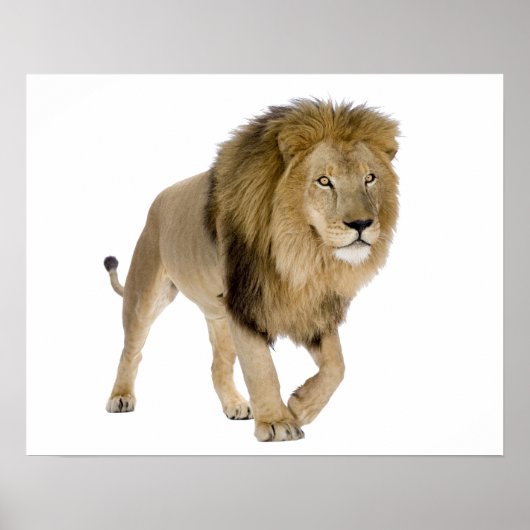 Afbeelding van poster (Voorkant)
