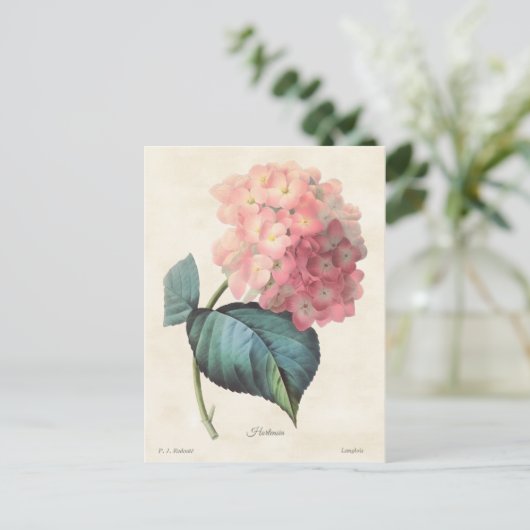  afbeelding van roze hydrangea briefkaart (Staand voorkant)