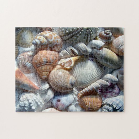 Afbeelding van Seashells Puzzel (Horizontaal)