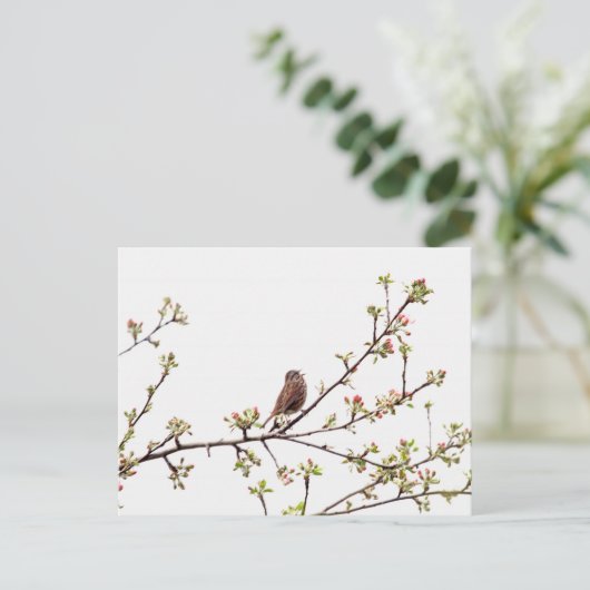 Afbeelding van Sparrow Singing in Flowering Tree Briefkaart (Staand voorkant)