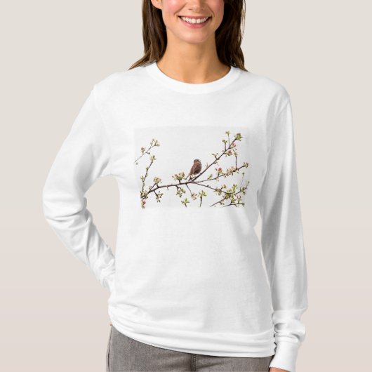 Afbeelding van Sparrow Singing in Flowering Tree T-shirt (Voorkant)
