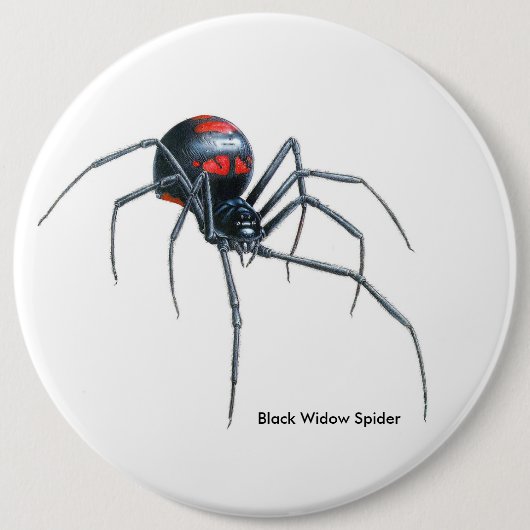 Afbeelding van spin voor kolossaal-ronde-badge ronde button 6,0 cm (Voorkant)