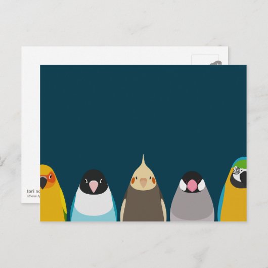 Afbeelding van vijf vogels - tori no iro briefkaart (Voorkant / Achterkant)