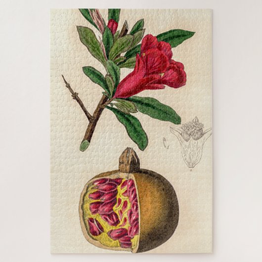 Afbeelding van vintage in Pomegranaat Legpuzzel (Verticaal)