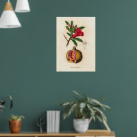 Afbeelding van vintage in Pomegranaat